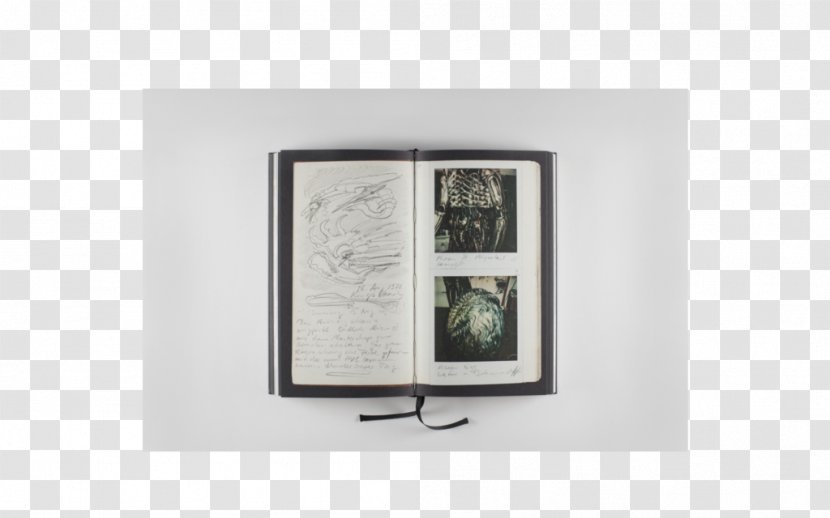 Picture Frames Shelf Rectangle - Frame - Polaroid Sx70 Transparent PNG