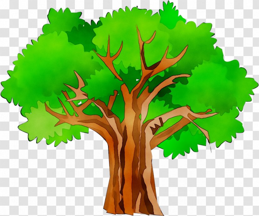 Clip Art Openclipart Free Content Tree Illustration - Root - Branch Transparent PNG