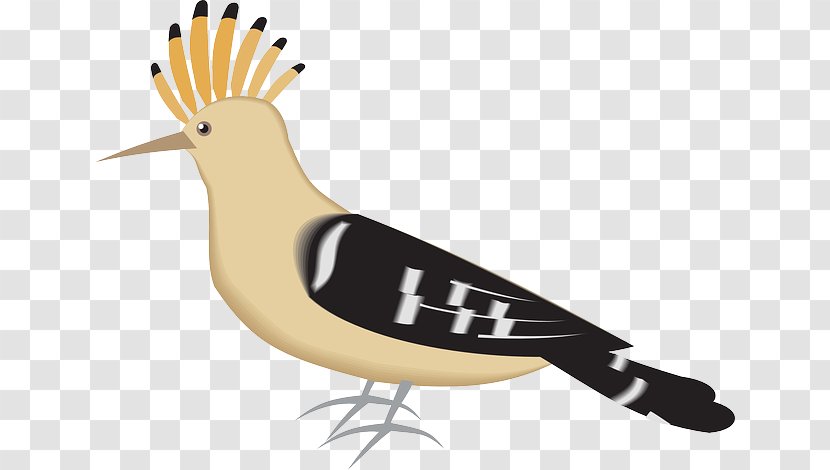 Bryanston Sports Club Bird Eurasian Hoopoe Clip Art Transparent PNG