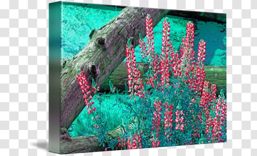 Green Turquoise Ecosystem Organism - Magenta - Lupine Transparent PNG
