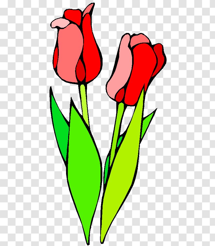 Clip Art Floral Design Vector Graphics Flower Tulip - Flora - Pressed Transparent PNG