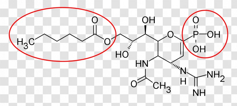 Neuraminidase Inhibitor Zanamivir Prodrug Oseltamivir - Pharmaceutical Drug - Number Transparent PNG