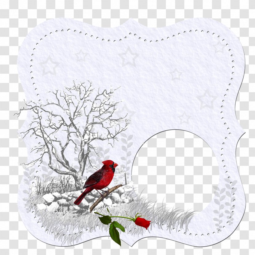 Beak Bird Picture Frames Northern Cardinal - Nostalgic Background Transparent PNG