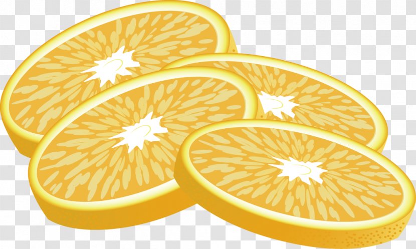 Lemon Euclidean Vector Fruit - Shape - Slice Decorative Design Transparent PNG
