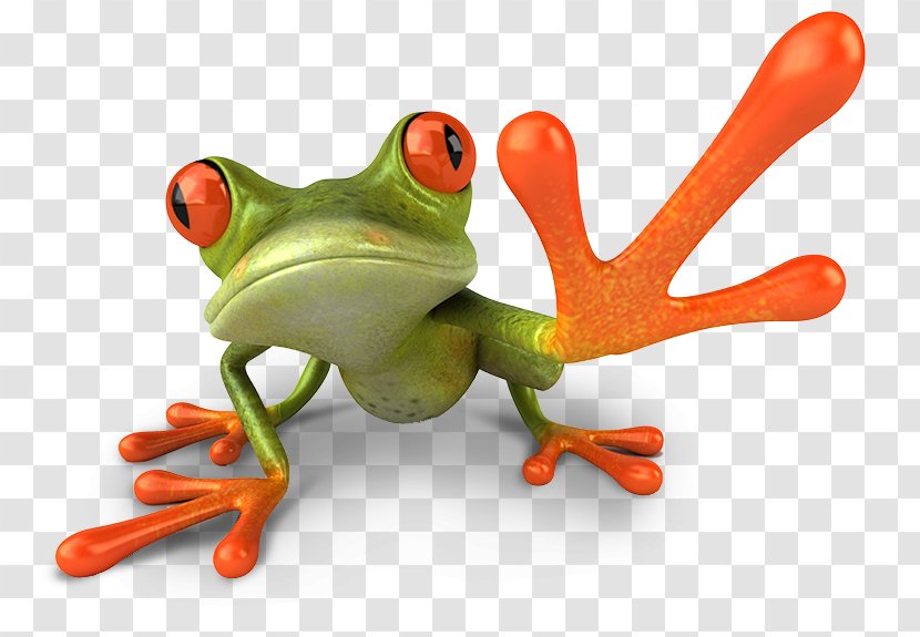 Red-eyed Tree Frog Clip Art - Orange Transparent PNG
