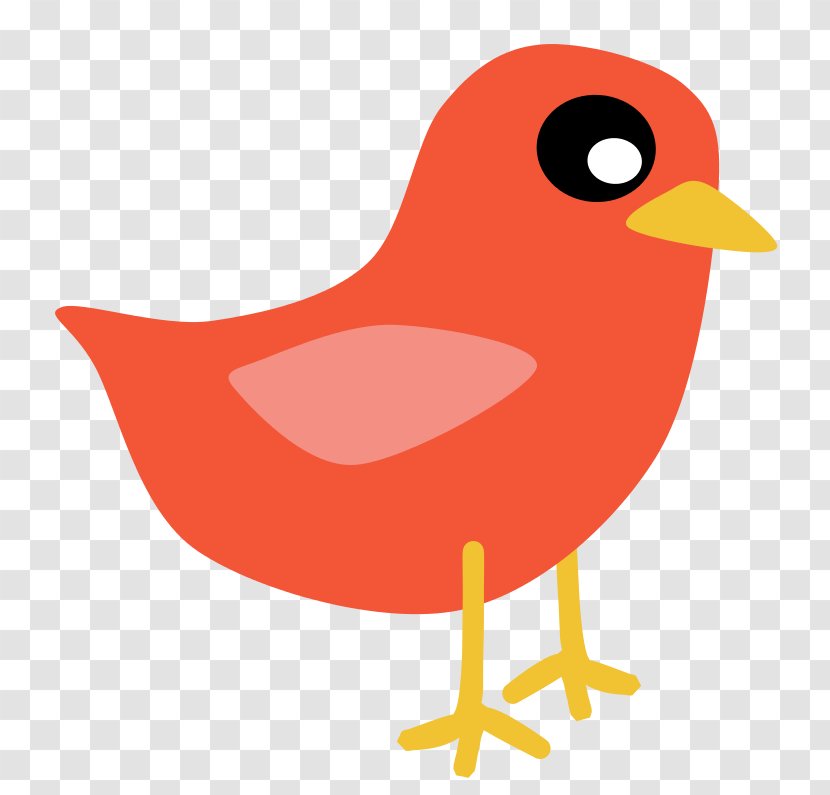 Eastern Bluebird Mountain Clip Art - Animation - Red Cartoon Chick Transparent PNG