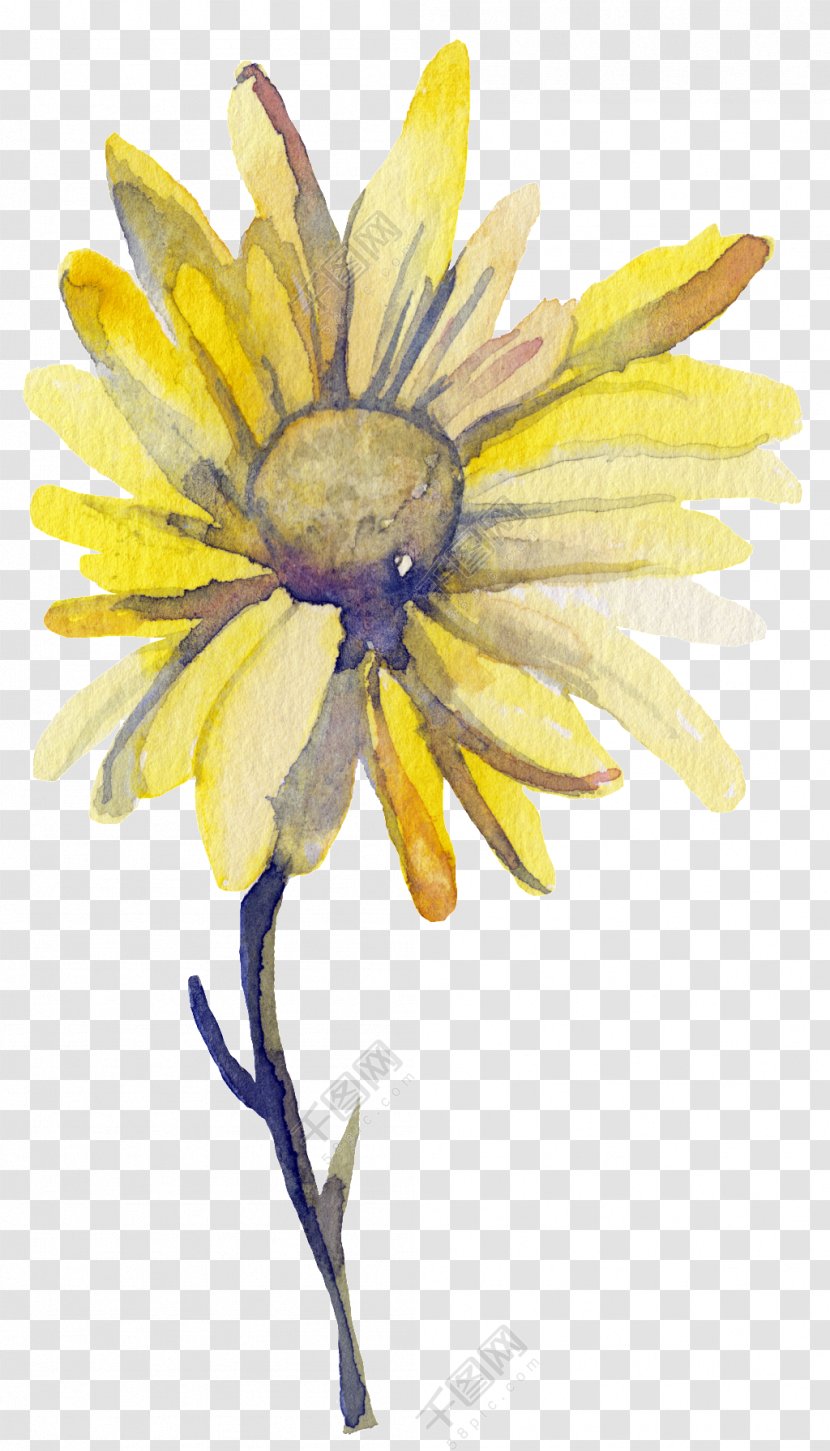 Watercolor: Flowers Watercolor Painting Image Illustration - Yellow - Sun Transparent PNG