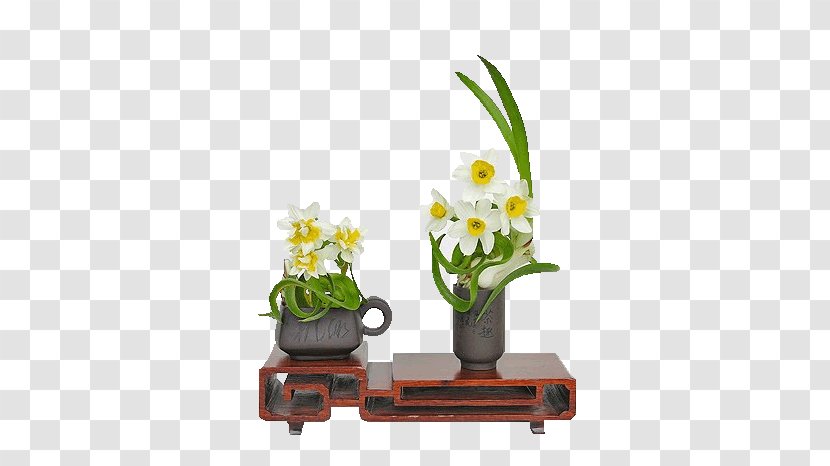 Narcissus Bunch-flowered Daffodil China Image Sina Corp - Flower Arranging - Daffodils Transparent PNG
