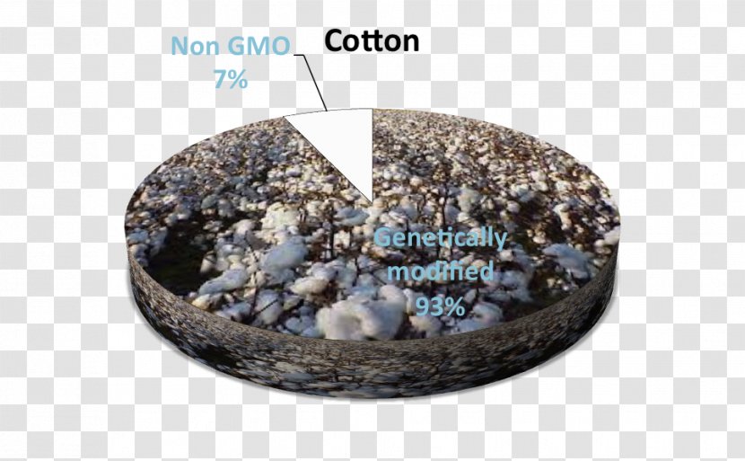 Indian People Cotton - Non Veg Foods Transparent PNG