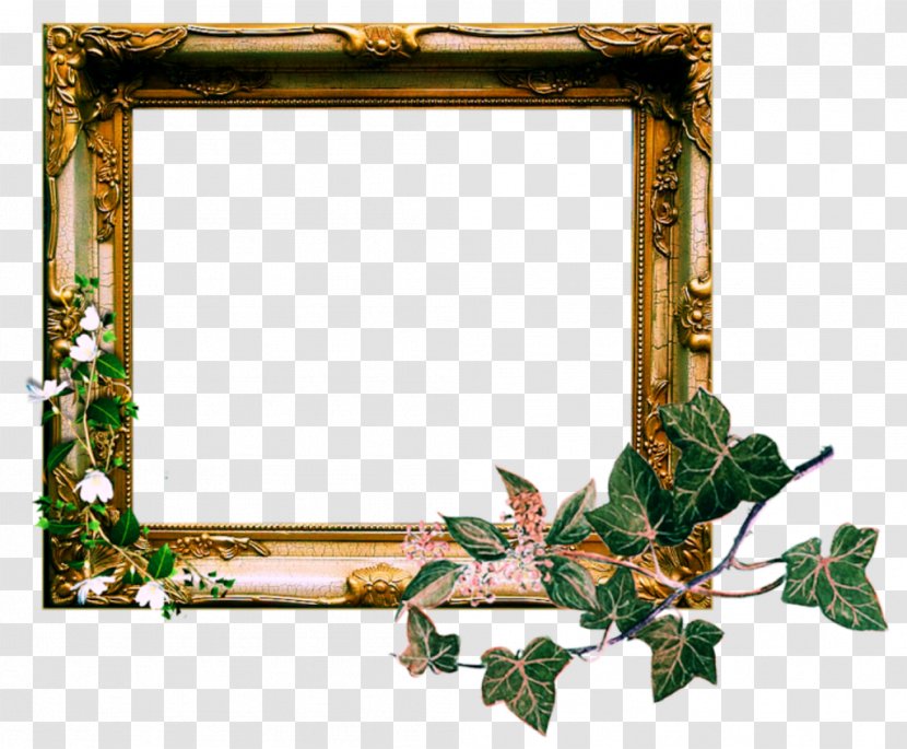 Background Vintage Frame - Collage - Mirror Ivy Transparent PNG