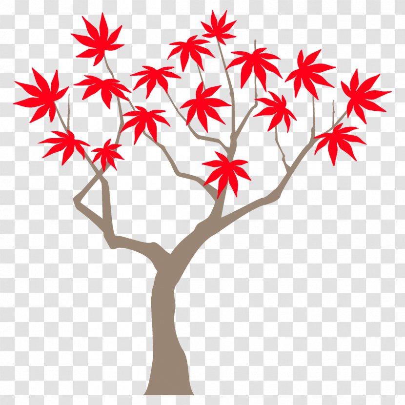 Autumn Maple Tree - Plant Stem Branch Transparent PNG