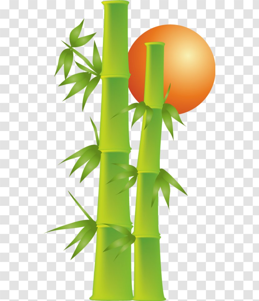 Bamboe Bamboo Drawing Download - Plant Stem - Hand-painted Transparent PNG
