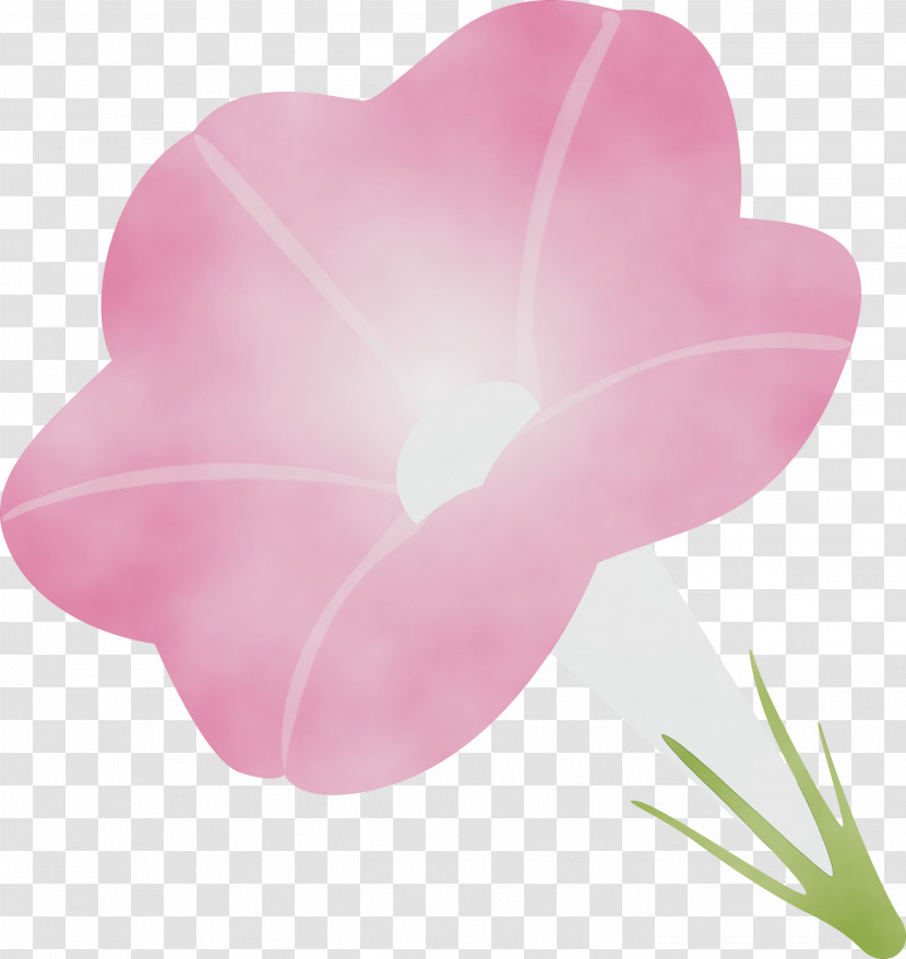 Petal Pink Flower Heart Plant Transparent PNG