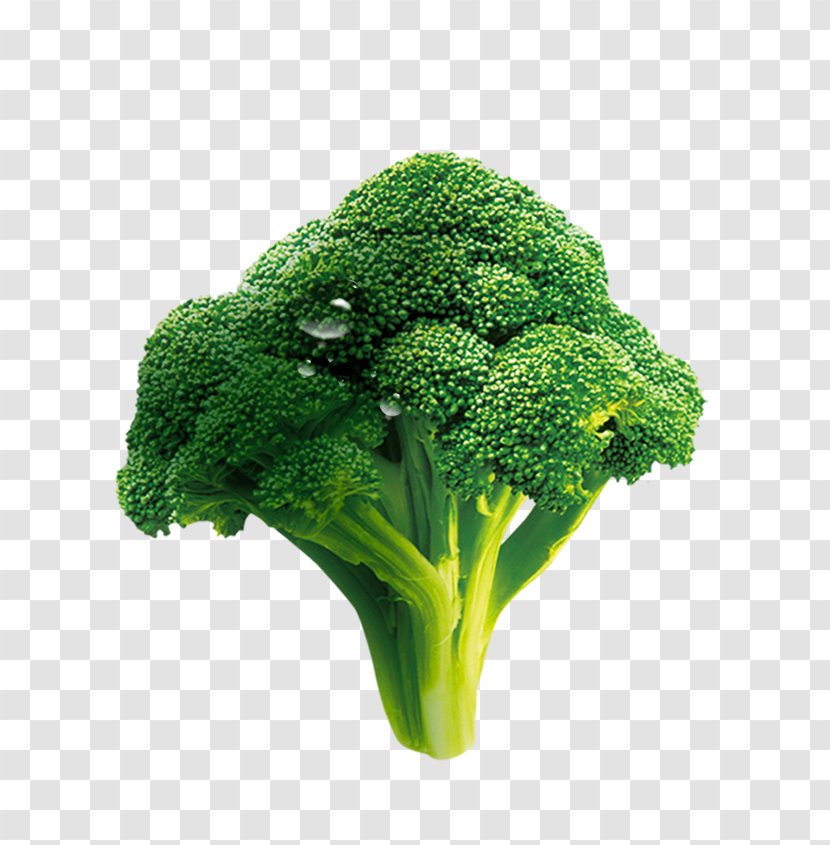 Broccoli Vegetable Cauliflower - Dots Per Inch Transparent PNG