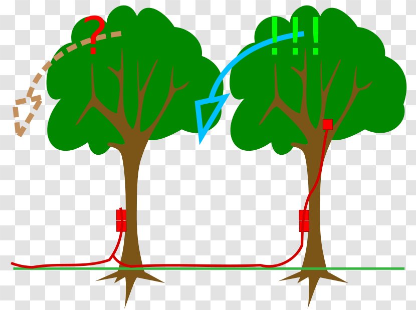 Explosive Material Tree Clip Art Transparent PNG