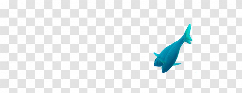 Dolphin Turquoise Marine Mammal Blue Porpoise - Teal - Fish Transparent PNG