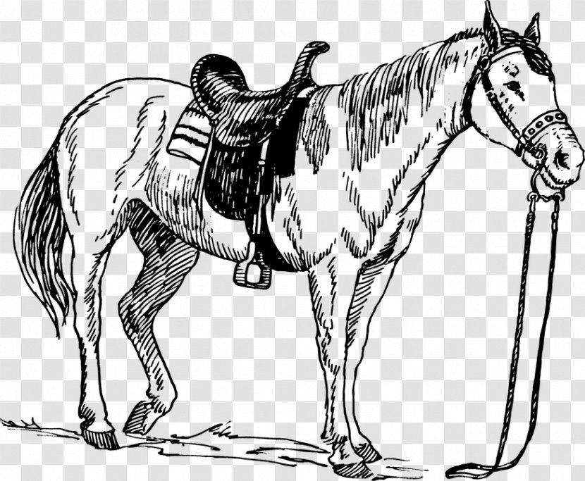 Horse Saddle Drawing Clip Art Transparent PNG