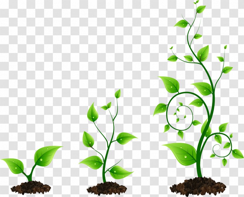 Grow Light Plant Bud Clip Art - Flora Transparent PNG