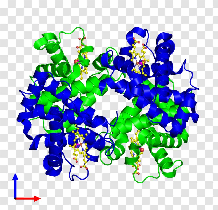 Hemoglobin, Alpha 2 1 Gene - Logical Conjunction - Categorise Classification Transparent PNG