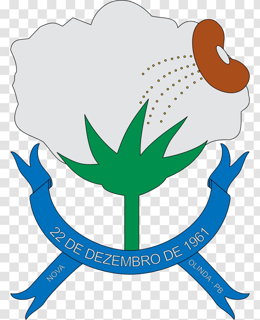 Nova Olinda, Paraíba Câmara Municipal De Olinda Mari, Pb Municipality - Heraldry Transparent PNG