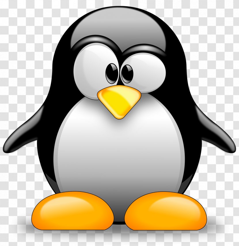 Tux Racer Penguin Linux - Beak - Penguins Transparent PNG