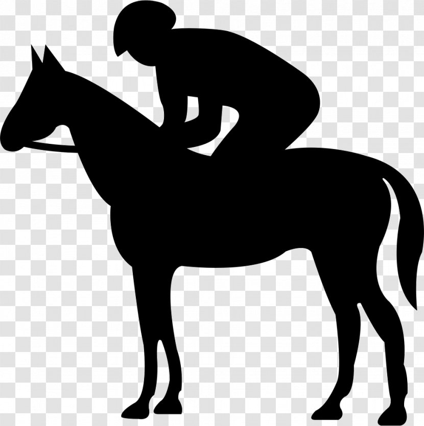 Austrian Warmblood Trakehner American Quarter Horse Jinete - Black And White - Jockey Transparent PNG