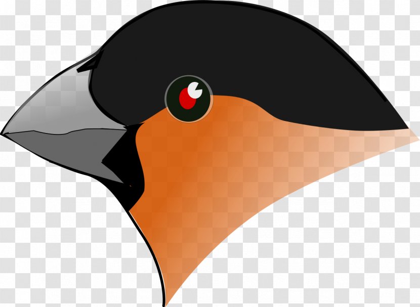Bird Eurasian Bullfinch Beak Duck Clip Art - Ducks Geese And Swans - Macaw Transparent PNG
