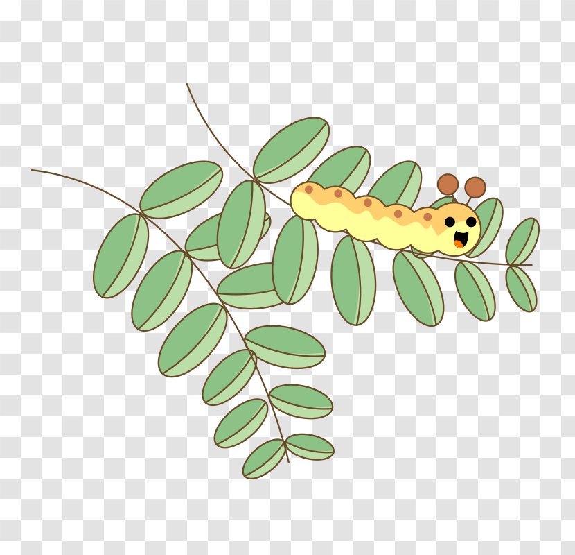 Plot - Membrane Winged Insect - Cute Cartoon Small Leaf Caterpillar Transparent PNG