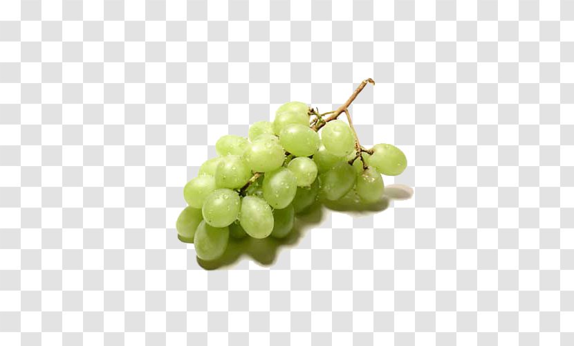 Vinho Verde Red Wine Common Grape Vine - Green Fruit Transparent PNG