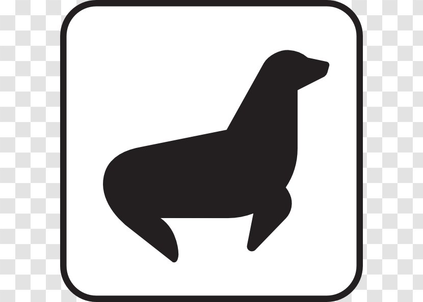 Pinniped Clip Art - Mammal - White Seal Cliparts Transparent PNG