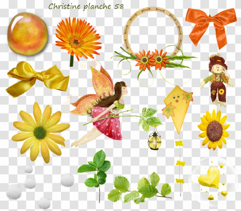 Floral Design Cut Flowers Clip Art - Flora - Planche Transparent PNG