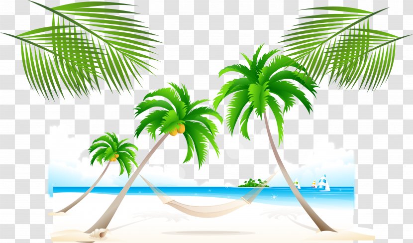Beach Photography Clip Art - Leaf - Summer Coconut Tree Poster Background Material Transparent PNG