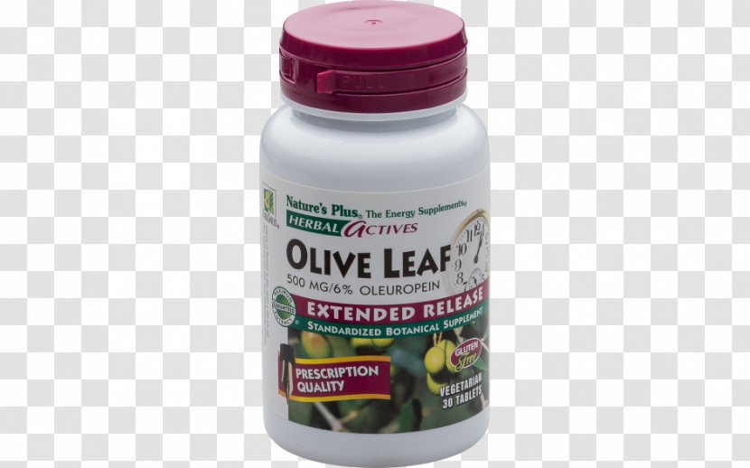 Dietary Supplement Olive Leaf Herb Tablet Valerian Transparent PNG