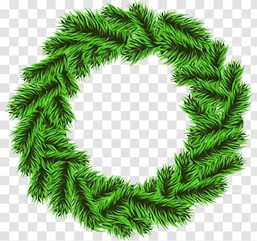 Christmas Decoration - White Pine - Shortleaf Black Spruce Conifer Transparent PNG