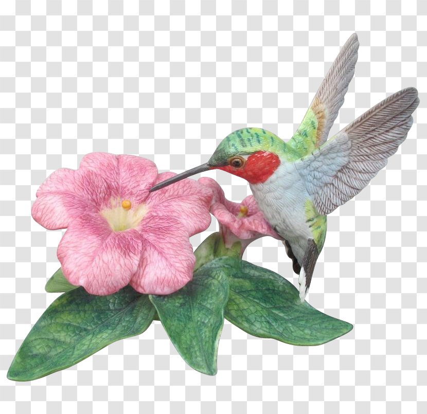 Rivoli's Hummingbird Beak Figurine - Flower - Bird Transparent PNG