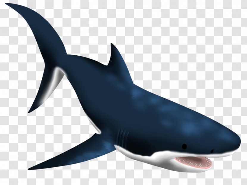 Great White Shark Requiem Sharks Marine Biology Mammal - Cobalt Blue Transparent PNG