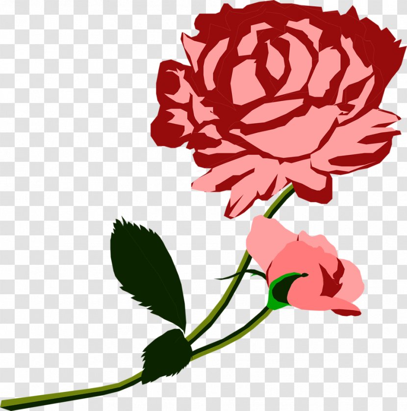 Wars Of The Roses White Rose York - Flower Arranging - Red Decorative Transparent PNG