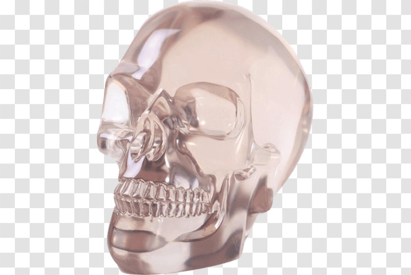 Crystal Skull Calavera Human Symbolism Head - Santa Muerte Transparent PNG