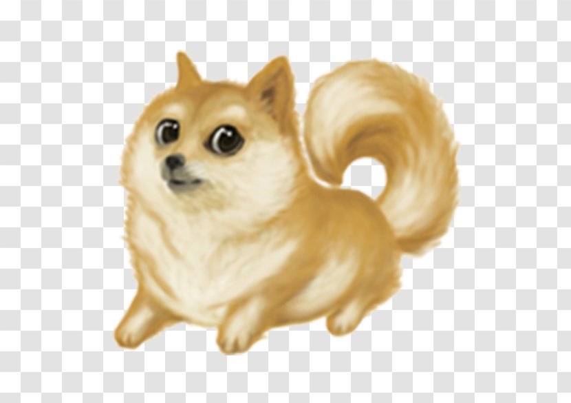 German Spitz Klein Mittel Pomeranian Finnish Volpino - Carnivoran - Puppy Transparent PNG