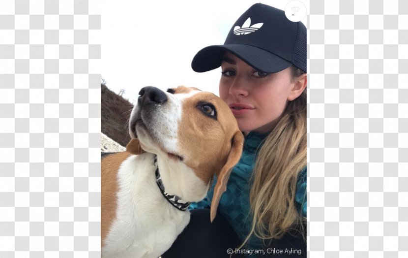 Chloe Ayling Model Dog Breed Kidnapping Surrey - English Transparent PNG