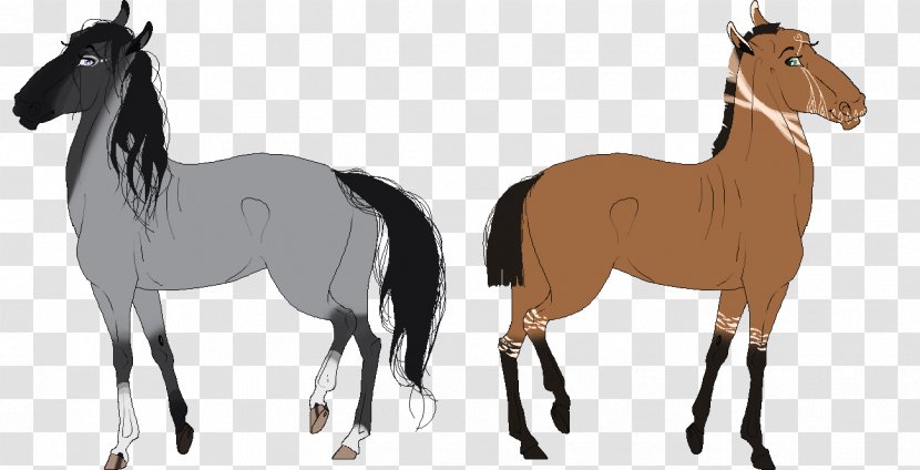 Mustang Foal Mare Stallion Colt - Tail Transparent PNG