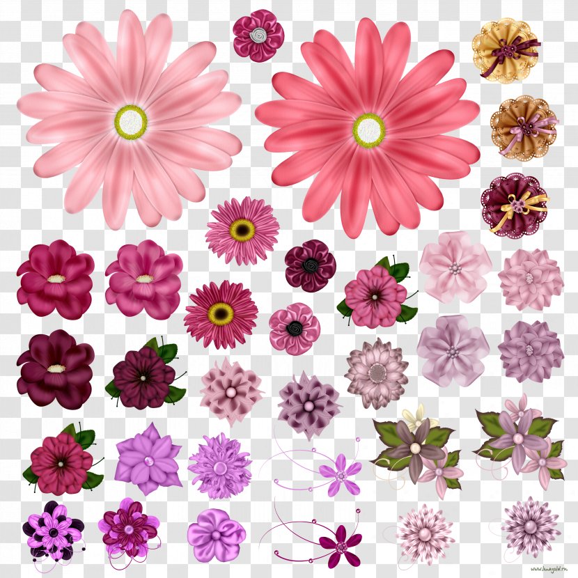 Flower - Dahlia - Morden Transparent PNG