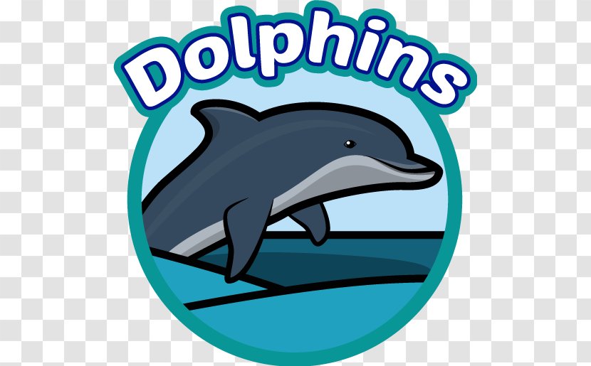 Common Bottlenose Dolphin Short-beaked Tucuxi Wholphin - Frame - PSD School District Transparent PNG