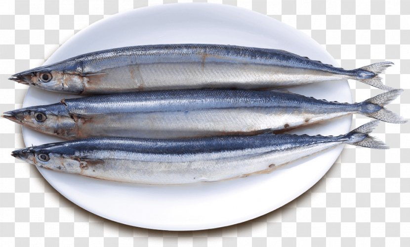 Sardine Pacific Saury Fish Products Oily Transparent PNG