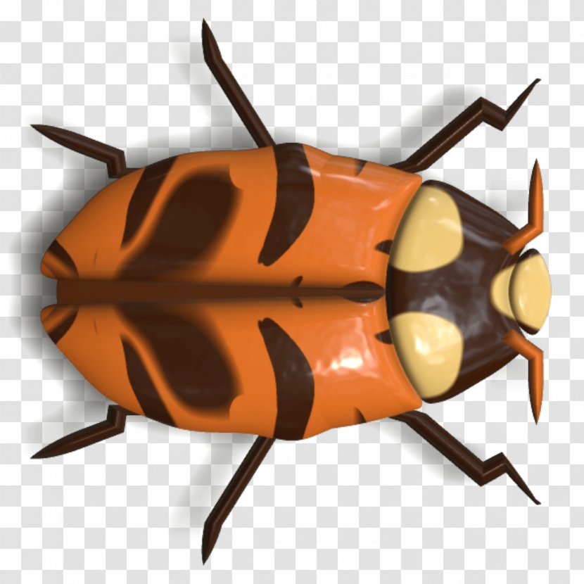 Beetle Ladybird Animal - Coccinella Septempunctata Transparent PNG