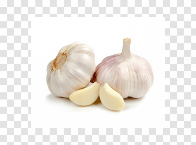 White Garlic Clove Vegetable Food - Pungency Transparent PNG