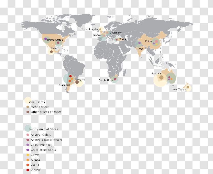 World Map Globe - Text - Wool Transparent PNG
