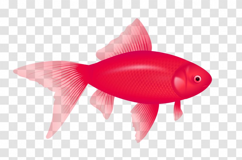 Redfish Clip Art - Fish Transparent PNG