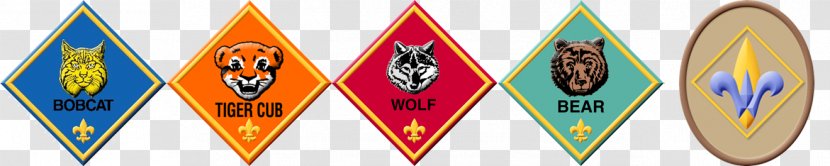 Scouting Science, Technology, Engineering, And Mathematics Cub Scout Education - Driving Learning Center Transparent PNG