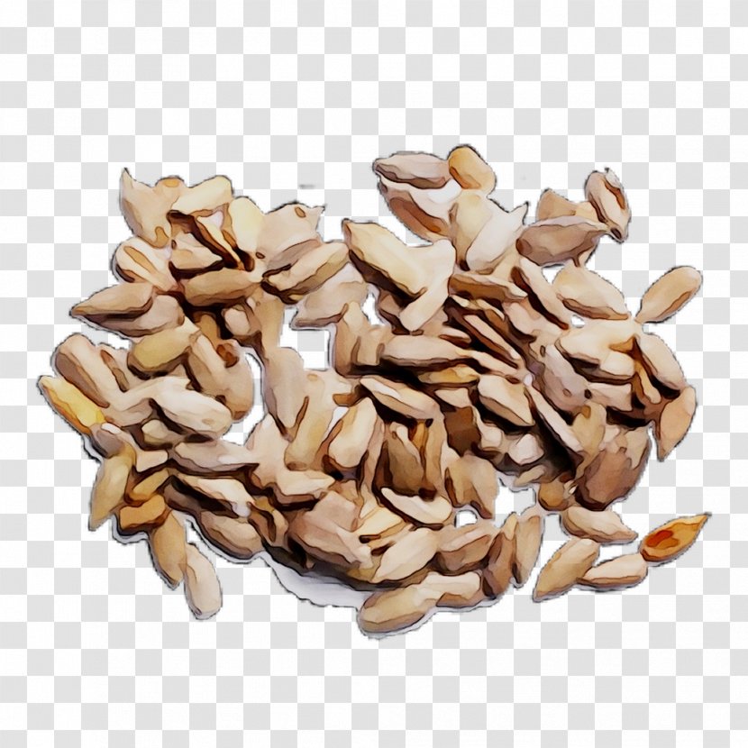 Nut Vegetarian Cuisine Commodity Food Vegetarianism - Sunflower Seed Transparent PNG